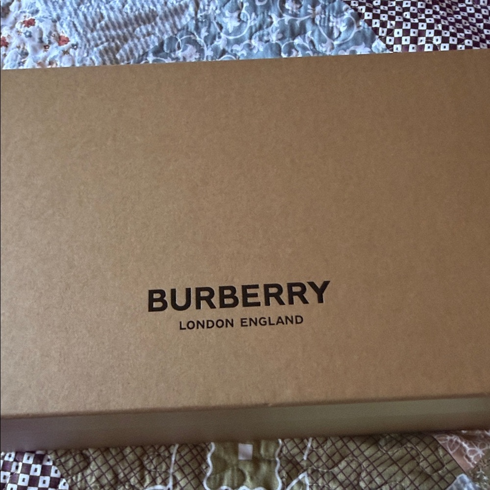 Burberry Clintonville Thong Sandals NWT MENS SZ 41 3D Icon Stripe Sandals IN BOX - Picture 7 of 11